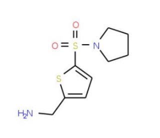 [5-(pyrrolidin-1-ylsulfonyl)thien-2-yl]methylamine - chemical structure image