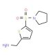 [5-(pyrrolidin-1-ylsulfonyl)thien-2-yl]methylamine - chemical structure image