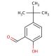 5-tert-Butyl-2-hydroxybenzaldehyde (CAS 2725-53-3) - chemical structure image