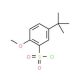 5-tert-Butyl-2-methoxy-benzenesulfonyl chloride (CAS 88041-83-2) - chemical structure image