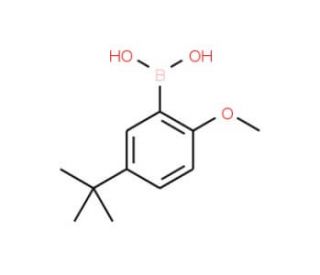 5-tert-Butyl-2-methoxybenzeneboronic acid (CAS 128733-85-7) - chemical structure image