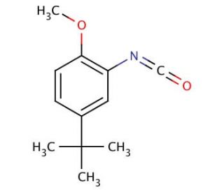 5-tert-Butyl-2-methoxyphenyl isocyanate (CAS 284462-77-7) - chemical structure image