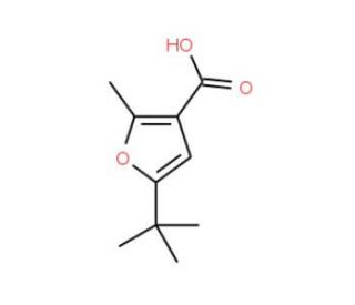 5-tert-Butyl-2-methyl-3-furoic acid (CAS 38422-62-7) - chemical structure image