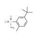5-tert-Butyl-2-methyl-benzenesulfonamide (CAS 7155-00-2) - chemical structure image