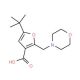 5-tert-Butyl-2-morpholin-4-ylmethyl-furan-3-carboxylic acid - chemical structure image