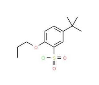 5-tert-Butyl-2-propoxy-benzenesulfonyl chloride (CAS 681260-21-9) - chemical structure image