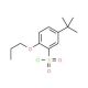 5-tert-Butyl-2-propoxy-benzenesulfonyl chloride (CAS 681260-21-9) - chemical structure image