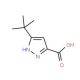5-tert-Butyl-2H-pyrazole-3-carboxylic acid (CAS 83405-71-4) - chemical structure image