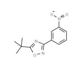 5-tert-Butyl-3-(3-nitrophenyl)-1,2,4-oxadiazole (CAS 1004398-30-4) - chemical structure image