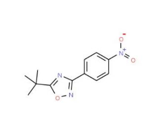 5-tert-Butyl-3-(4-nitrophenyl)-1,2,4-oxadiazole (CAS 1004398-32-6) - chemical structure image