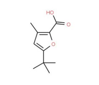 5-tert-Butyl-3-methyl-furan-2-carboxylic acid (CAS 436088-94-7) - chemical structure image