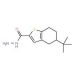 5-tert-butyl-4,5,6,7-tetrahydro-1-benzothiophene-2-carbohydrazide - chemical structure image