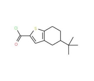 5-tert-butyl-4,5,6,7-tetrahydro-1-benzothiophene-2-carbonyl chloride - chemical structure image