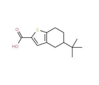 5-tert-butyl-4,5,6,7-tetrahydro-1-benzothiophene-2-carboxylic acid (CAS 126231-22-9) - chemical structure image