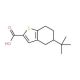5-tert-butyl-4,5,6,7-tetrahydro-1-benzothiophene-2-carboxylic acid (CAS 126231-22-9) - chemical structure image
