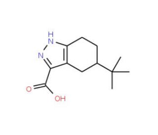 5-tert-Butyl-4,5,6,7-tetrahydro-1H-indazole-3-carboxylic acid (CAS 650603-95-5) - chemical structure image