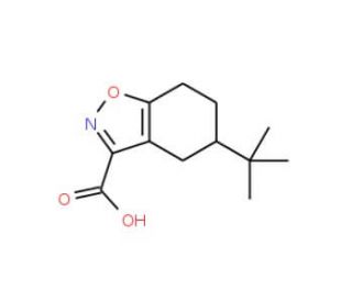 5-tert-Butyl-4,5,6,7-tetrahydro-benzo[d]isoxazole-3-carboxylic acid (CAS 832684-43-2) - chemical structure image