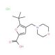 5-tert-Butyl-4-morpholin-4-ylmethyl-furan-2-carboxylic acid hydrochloride - chemical structure image