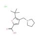 5-tert-Butyl-4-pyrrolidin-1-ylmethyl-furan-2-carboxylic acid hydrochloride - chemical structure image
