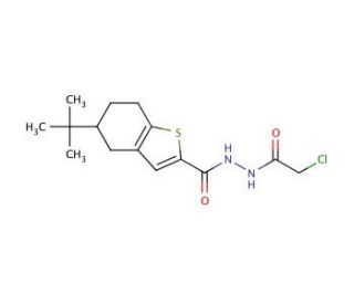 5-tert-butyl-N&prime;-(chloroacetyl)-4,5,6,7-tetrahydro-1-benzothiophene-2-carbohydrazide - chemical structure image