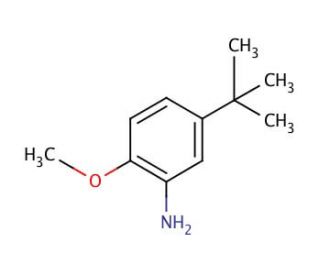 5-tert-Butyl-o-anisidine (CAS 3535-88-4) - chemical structure image