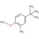 5-tert-Butyl-o-anisidine (CAS 3535-88-4) - chemical structure image