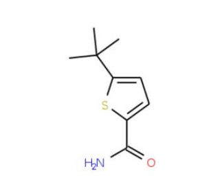 5-tert-Butyl-thiophene-2-carboxamide (CAS 685120-65-4) - chemical structure image