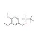 5-((tert-Butyldimethylsilyloxy)methyl)-2,3-dimethoxypyridine (CAS 1171919-74-6) - chemical structure image