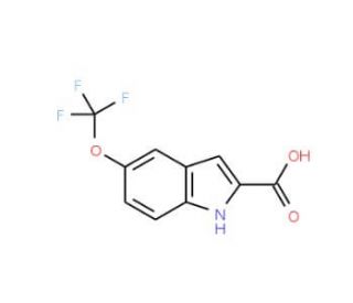 5-(Trifluoromethoxy)-1H-indole-2-carboxylic acid (CAS 175203-84-6) - chemical structure image