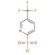 5-Trifluoromethyl-2-pyridinesulfonyl Chloride (CAS 174485-72-4) - chemical structure image