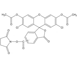 5(6)-Carboxy-2&prime;,7&prime;-dichlorofluorescein diacetate N-succinimidyl ester (CAS 147265-60-9) - chemical structure image