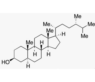 5&alpha;(H)-Campestanol (CAS 6538-02-9) - chemical structure image