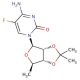 5′-Deoxy-5-fluoro-2′,3′-O-isopropylidenecytidine (CAS 66335-37-3) - chemical structure image