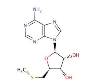 5&prime;-Deoxy-5&prime;-methylthioadenosine (CAS 2457-80-9) - chemical structure image
