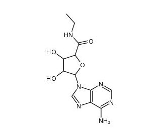 5&prime;-N-Ethylcarboxamidoadenosine (CAS 35920-39-9) - chemical structure image