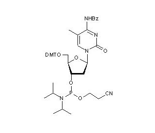 5&prime;-O-(4,4&prime;-Dimethoxytrityl)-5-methyl-N4-benzoyl-2&prime;-deoxycytidine-3&prime;-(2-cyanoethyl-N,N-diisopropyl)phosphoramidite (CAS 105931