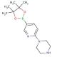 6-(1-Piperazinyl)pyridine-3-boronic acid pinacol ester (CAS 871125-86-9) - chemical structure image