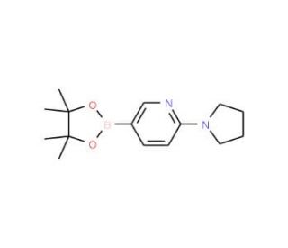 6-(1-Pyrrolidinyl)pyridine-3-boronic acid pinacol ester (CAS 933986-97-1) - chemical structure image