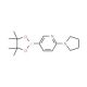 6-(1-Pyrrolidinyl)pyridine-3-boronic acid pinacol ester (CAS 933986-97-1) - chemical structure image