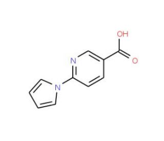 6-(1H-Pyrrol-1-yl)nicotinic acid (CAS 175135-86-1) - chemical structure image