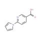 6-(1H-Pyrrol-1-yl)nicotinic acid (CAS 175135-86-1) - chemical structure image