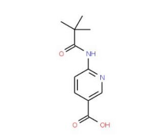 6-(2,2-Dimethyl-propionylamino)-nicotinic acid (CAS 898561-66-5) - chemical structure image