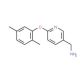 [6-(2,5-dimethylphenoxy)pyridin-3-yl]methylamine - chemical structure image