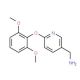 [6-(2,6-dimethoxyphenoxy)pyridin-3-yl]methanamine - chemical structure image