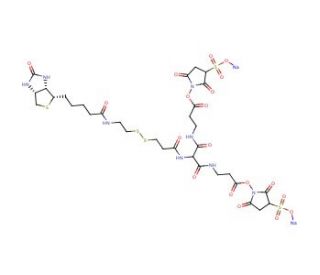 6-[2-Biotinylamidoethyl]-dithiopropionamido]-4,8-diaza-5,7-diketoundecanoic Acid, Bis-N-sulfosuccinimidyl Ester Disodium Salt