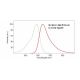 6-([4,6-Dichlorotriazin-2-yl]amino)fluorescein hydrochloride: sc-214351