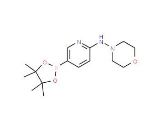 6-(4-Morpholinylamino)pyridine-3-boronic acid pinacol ester (CAS 1073354-38-7) - chemical structure image