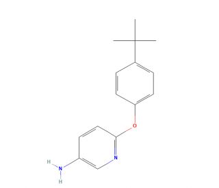 6-[4-(tert-Butyl)phenoxy]pyridin-3-amine (CAS 218457-67-1) - chemical structure image