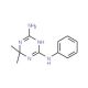 6,6-dimethyl-N~2~-phenyl-1,6-dihydro-1,3,5-triazine-2,4-diamine (CAS 5405-66-3) - chemical structure image