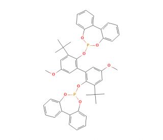 6,6&prime;-[(3,3&prime;-Di-tert-butyl-5,5&prime;-dimethoxy-1,1&prime;-biphenyl-2,2&prime;-diyl)bis(oxy)]bis(dibenzo[d,f][1,3,2]dioxaphosphepin) (CAS 121627